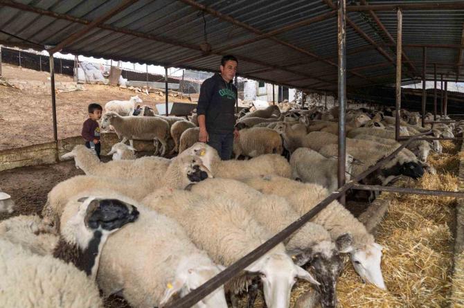 İzmir’de yangın mağduru çiftçilere 225 ton yem desteği