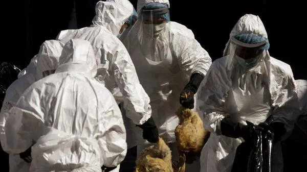 Dünya Sağlık Örgütü’nden Kritik Uyarı